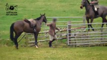 Hunt saboteurs film horse being whipped amid foul-mouthed tirade
