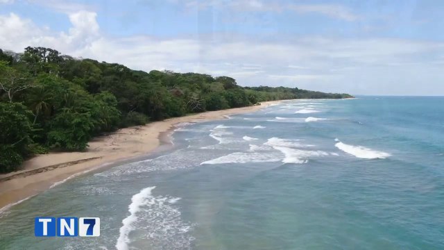 tn7-organizaciones-limonenses-luchan-contra-el-cambio-climatico-221221