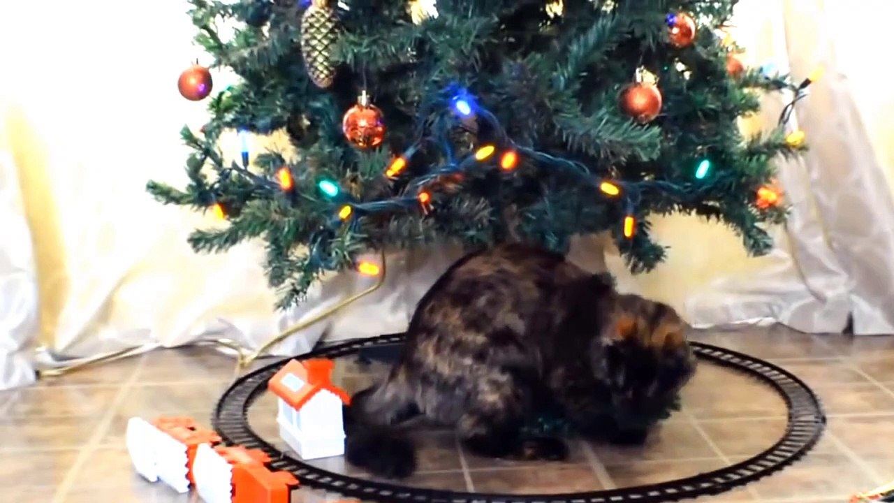 Funny Cats vs Christmas Trees - Funny Cats Christmas