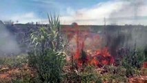 Incêndio ambiental incomoda moradores no Bairro Interlagos