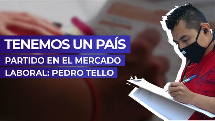 Tenemos un país partido en el mercado laboral: Pedro Tello