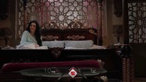 غدا : حورية فرغلي وشيري عادل نجمات مسلسل أيام بعد نجاحه على شاهد في يحدث في مصر