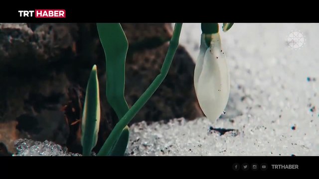 İletişim Başkanlığı'ndan Sarıkamış Destanı'nın 107. yılı anısına özel klip