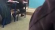 Un élève libère un rat dans une salle de classe