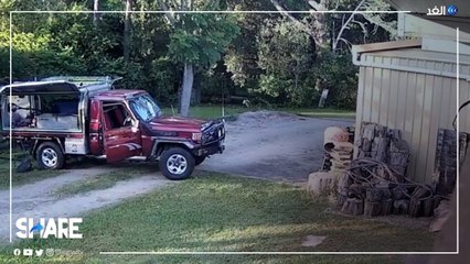 بطريقة مثالية.. زوجان يتحدان لإيقاف لص حاول سرقتهم | #شير