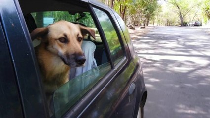 Get Paid to Take a Road Trip in the Car of Your Choice — Here's How