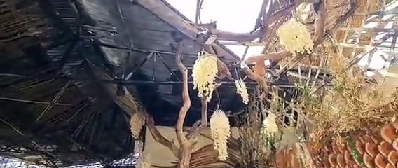 Casa Maaya está interditada por risco de desabamento, diz Defesa Civil