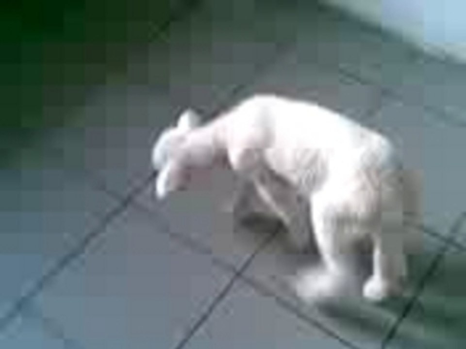 yeanling