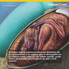 Encuentran embrión de dinosaurio en perfectas condiciones