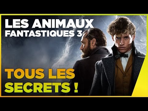 Les mystères de Dumbledore enfin dévoilés ? Les Animaux Fantastiques 3