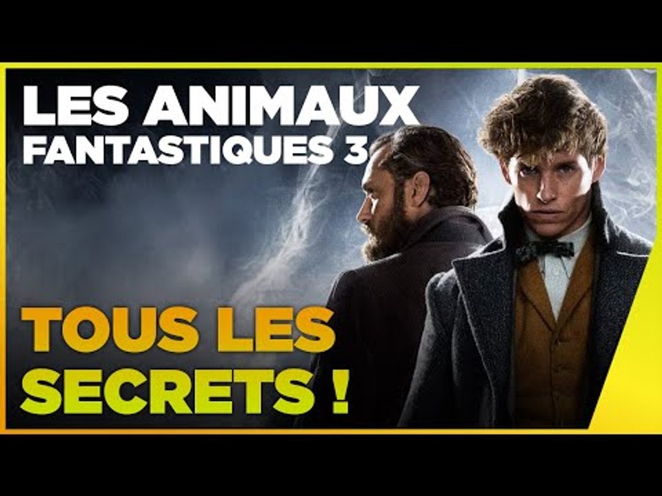 Les mystères de Dumbledore enfin dévoilés ?  Les Animaux Fantastiques 3