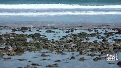 Sanatını kumsala taşıdı