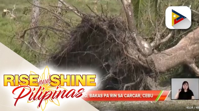 Pinsala ng bagyo, bakas pa rin sa Carcar, Cebu; 3 residente, naitalang nasawi sa Carcar