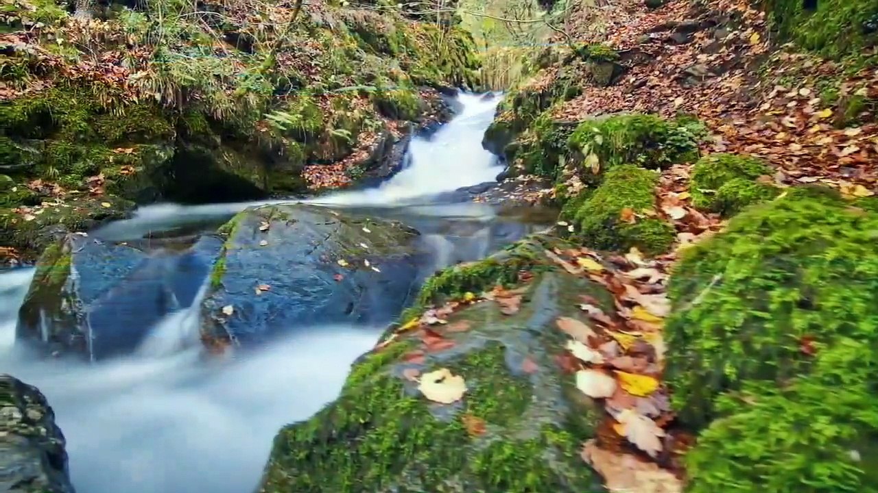 The beauty of nature with the pleasure of meditation and relaxation