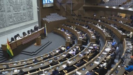 Video herunterladen: Parlamento boliviano presenta informe sobre retraso judicial en casos de feminicidios