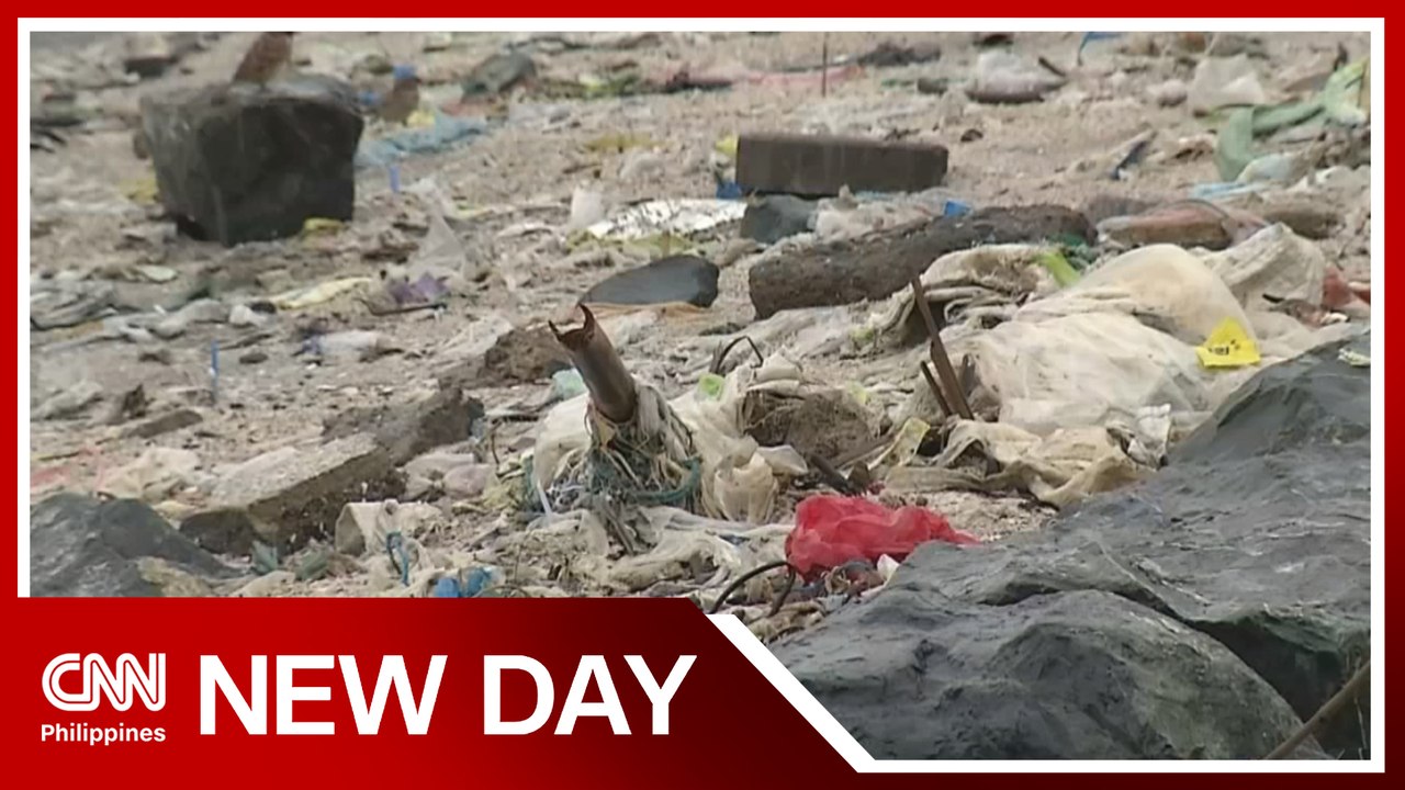 Environment groups to government: Declare climate emergency