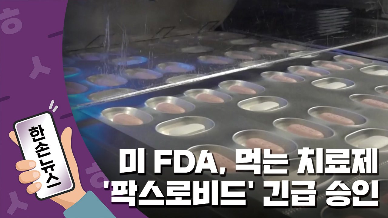 [15초뉴스] 미국 FDA, 화이자 ’먹는 치료제’ 팍스로비드 사용 승인 / YTN