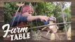 Farm To Table: Cook different ingredients at the same time | Teaser Ep. 45