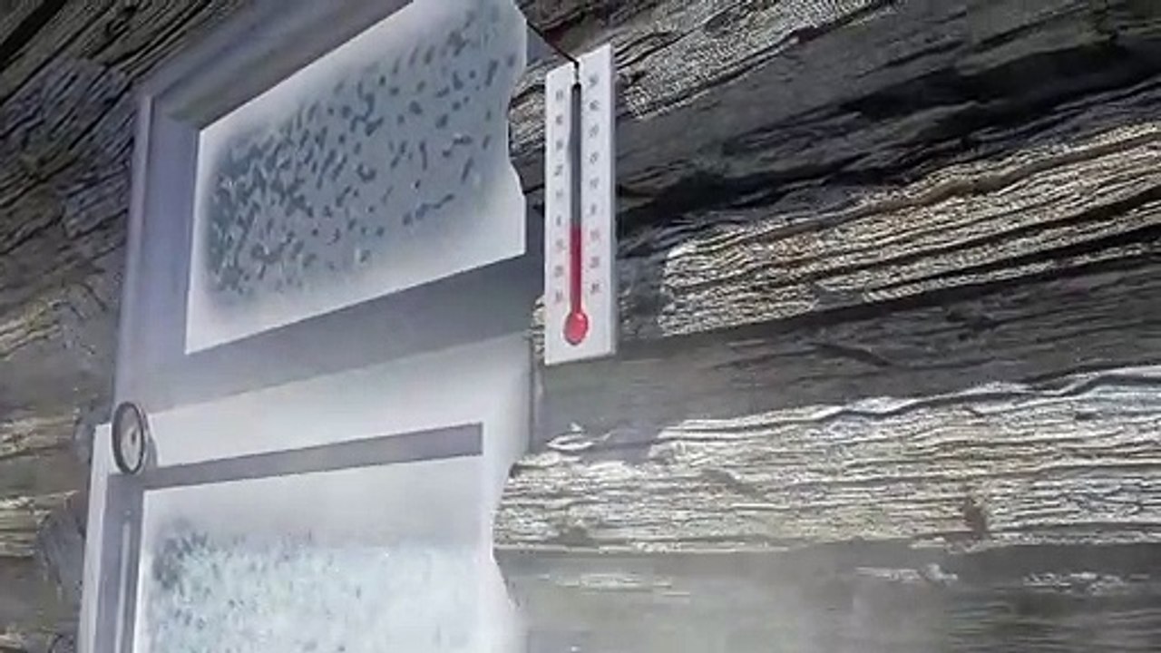 Le flocon de neige : éphémère cristal