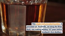 Bushmills Connoisseur Your Newest Holiday Tradition Is Ireland’s Oldest