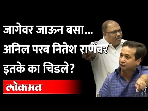 Nitesh Rane-Anil Parab भिडले; Devendra Fadanvis मध्ये पडले...पाहा काय झालं?
