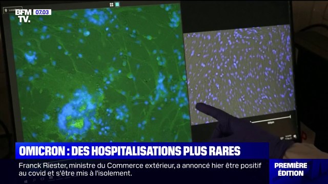 Le variant Omicron serait moins virulent que son prédécesseur, Delta, selon une étude britannique