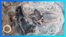 Penemuan Kerangka Pria Korban Erupsi Vesuvius 2.000 Tahun Lalu