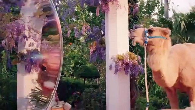 Little Birds Saison 1 - Little Birds - Trailer (EN)