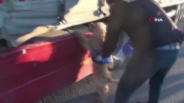 Uyuşturucu operasyonları... 588 kilo uyuşturucu madde ve 546 bin hap ele geçirildi