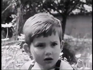 Poly Saison 1 - Bande-annonce (EN)