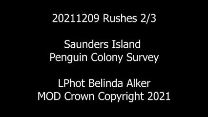 Royal Navy  helps with critical research into penguin numbers