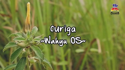 Wahyu OS - Curiga (Official Lyric Video)