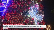 O espírito natalino tomou conta da capital paulista, com belas decorações, luzes e atrações para todas as idades