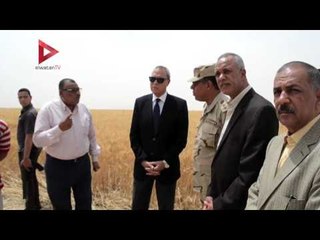 بدء حصد القمح بمشروع الـ1 5 مليون فدان في قنا