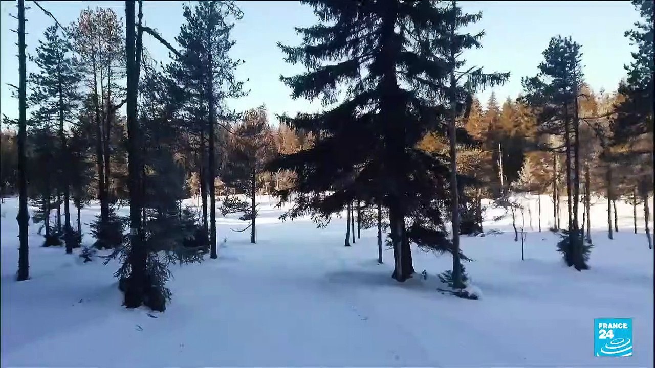 France : record de froid dans le Jura, jusqu'à 26° dans la forêt de la Combe Noire