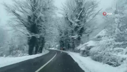 Ağaç tüneller kar güzelliği ile mest ediyor