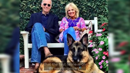 Presidential Pets Through the Ages