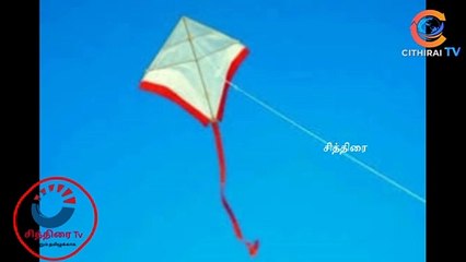 பட்டத்தை பறக்கவிட்ட இளைஞர், பட்டத்தோடு சேர்ந்து பறந்த சோகம்