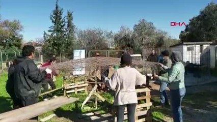 DATÇA HAYVAN BARINAĞININ SU İHTİYACI YAĞMUR SUYUNDAN KARŞILANACAK