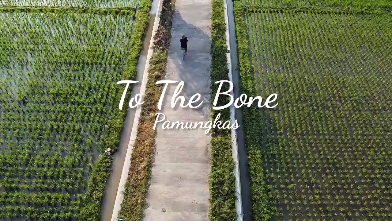 To The Bone Full music