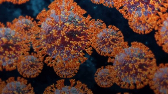 Estudio: Omicron tiene un 80% menos de probabilidades de causar hospitalización