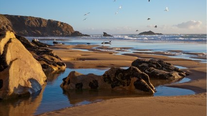 Le top 10 des lieux à voir dans le Morbihan