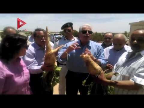نائب وزير الزراعة ومحافظ جنوب سيناء يتفقدان المشروعات التنموية