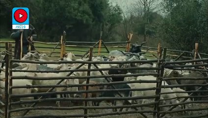 Kurulus Osman Season 3 Bolum 76 Part-2 Urdu Subtitles by Vidtower Owned by atv