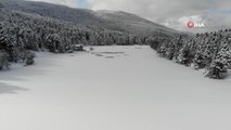 Son dakika haberi! Gölcük Tabiat Parkı gölü buzla kaplandı