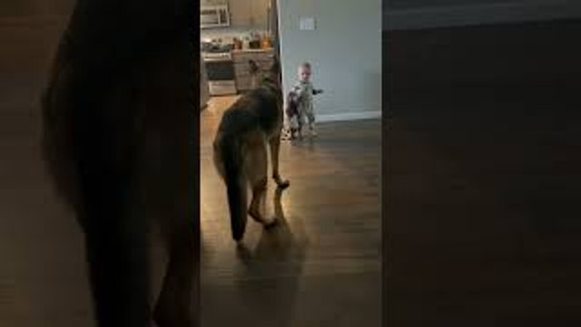 Blanketed Baby Headbutts Wall