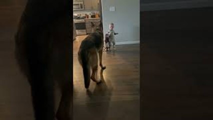 Blanketed Baby Headbutts Wall