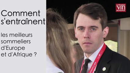 Les meilleurs sommeliers d'Europe et d'Afrique confient leur méthode d'entraînement