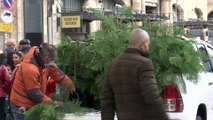 شاهد: توزيع أشجار عيد الميلاد في القدس وسط تفشي فيروس كورونا