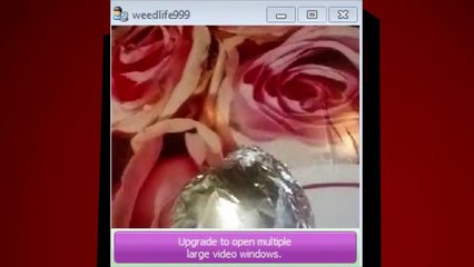 ViolVocal La Panthère